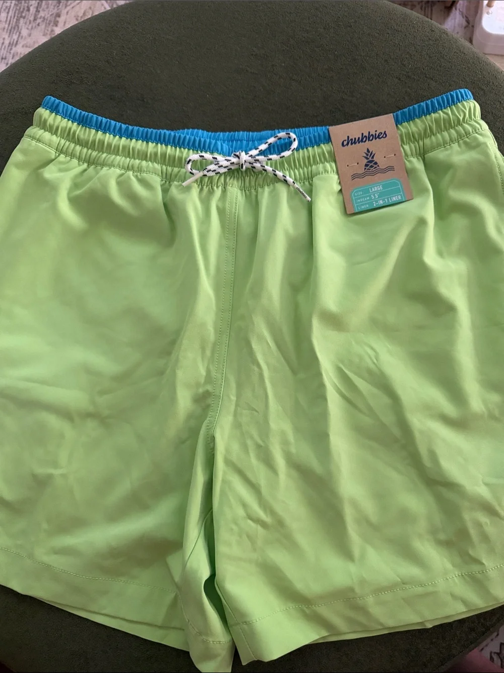 Chubbies The Squeeze The Days Size Large 5.5” Brief Liner - NWT